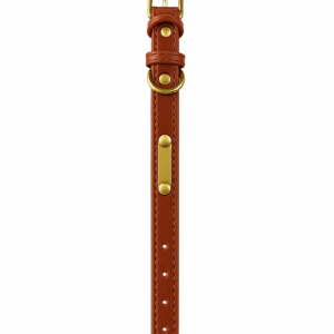 barna nyakörv xs